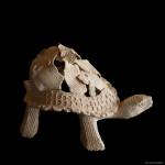 Julien SESIA - Julien-Sésia-Photographie©