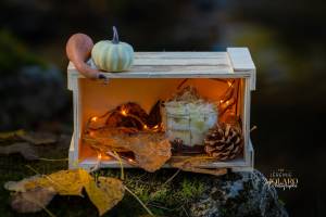 Jérémie MOLARO - F & F PHOTOGRAPHIE