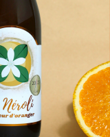 Manon HOGUET - Le citron